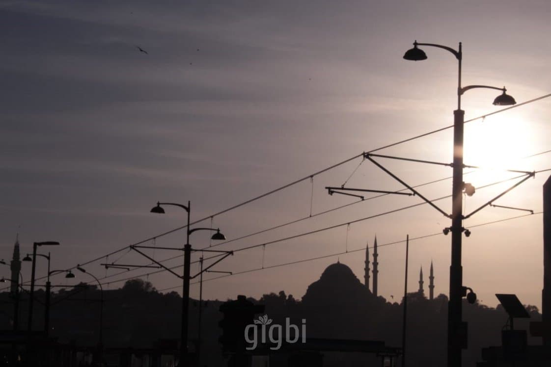 Yağmur G. — çalışma 7