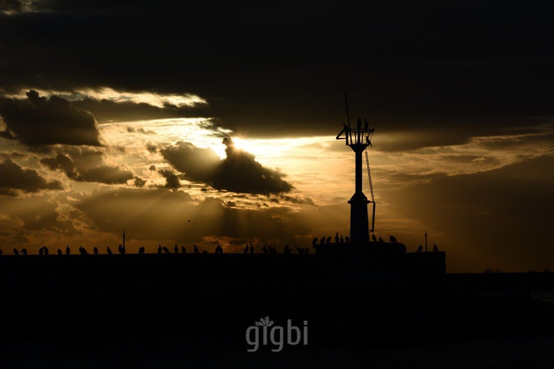 Yağmur G. — çalışma 8
