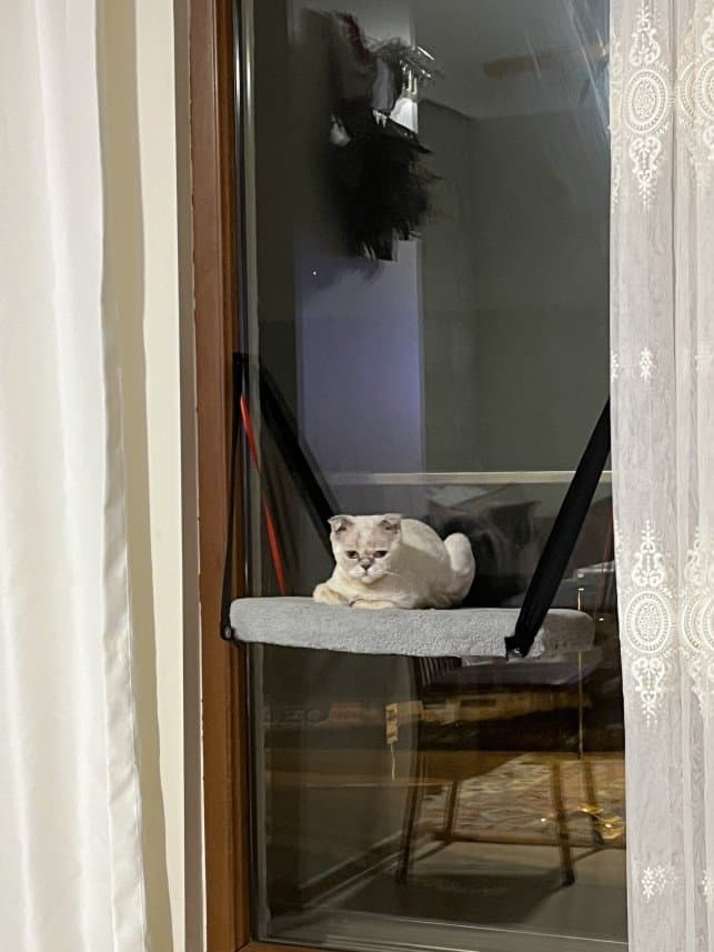 Yaren E. — çalışma 4