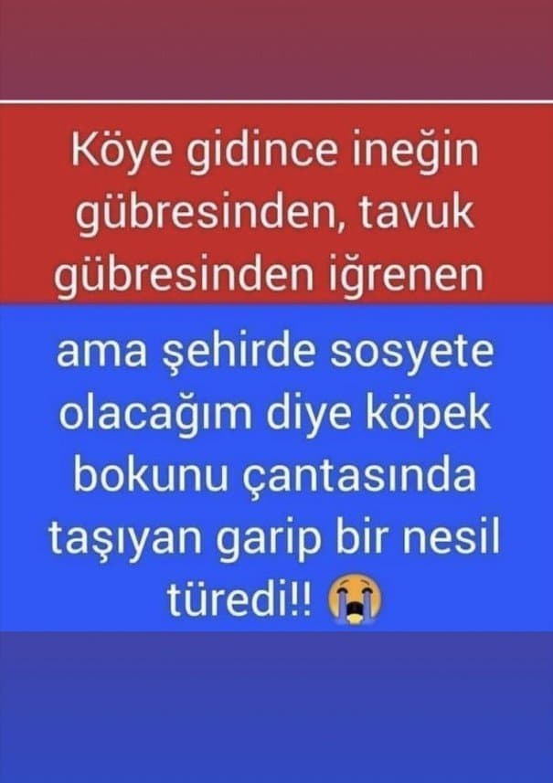Yasemin Ç. — çalışma 3