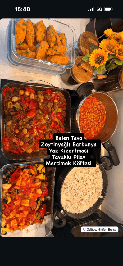 Yeliz E. — çalışma 1