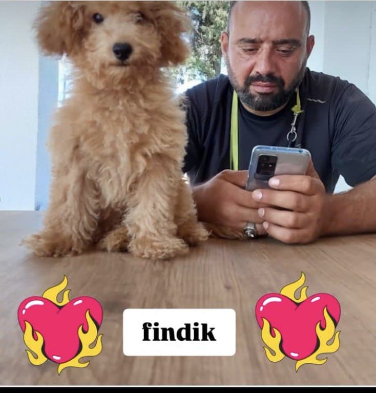 Yunus İ. — çalışma 3