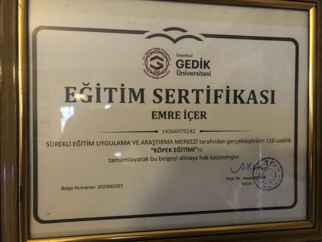 Yunus İ. — çalışma 4