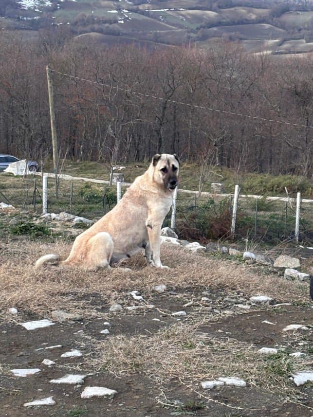 Yunus I. — çalışma 3