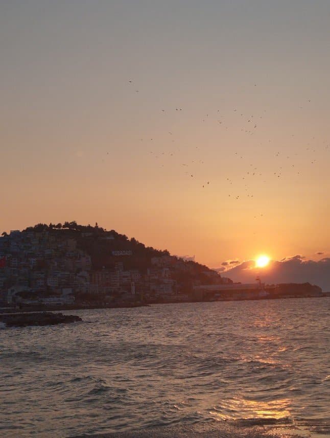 Yusuf T. — çalışma 4