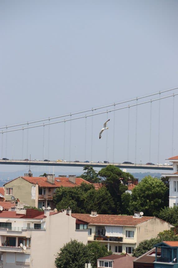 Zafer M. — çalışma 2