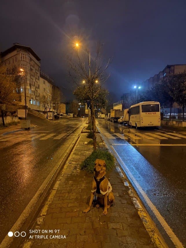 Zahide A. — çalışma 2