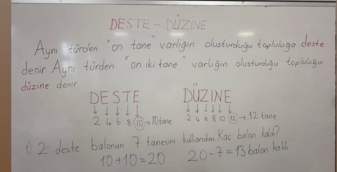 Zehranur K. — çalışma 1