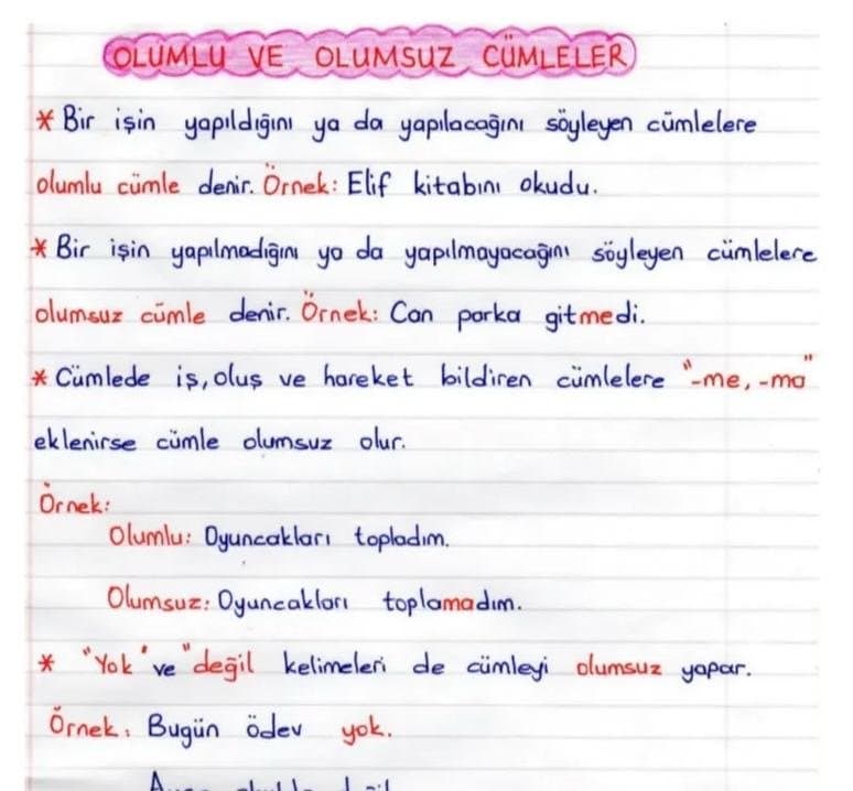 Zehranur K. — çalışma 2
