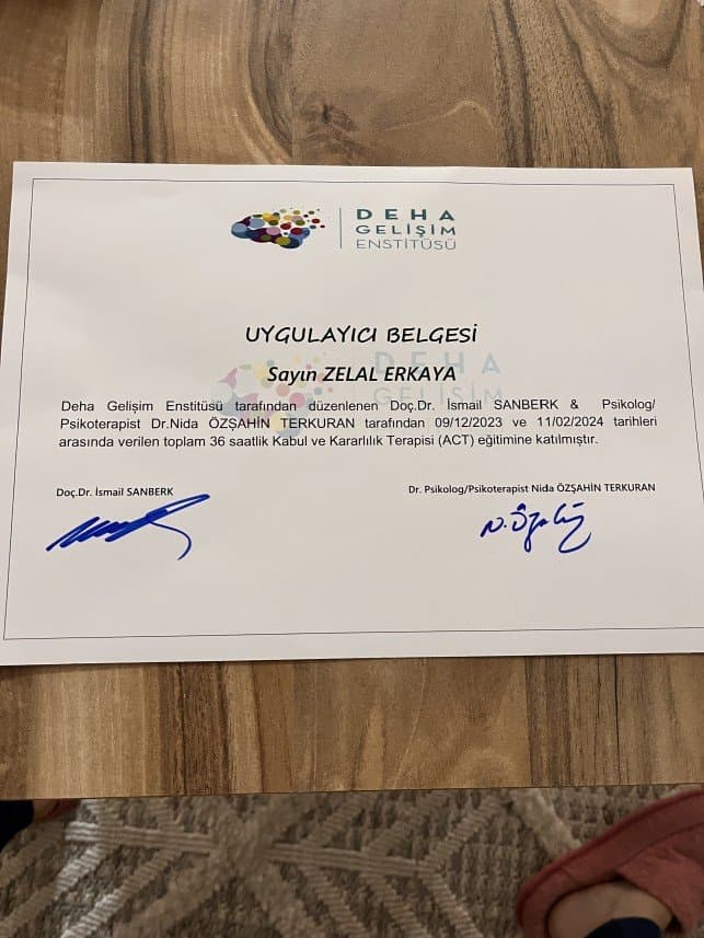 Zelal E. — çalışma 2