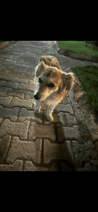Zeynep A. — çalışma 3