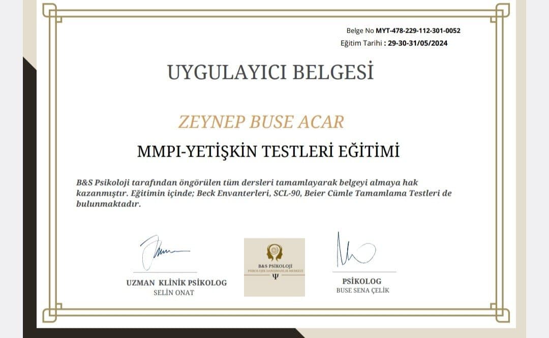 Zeynep A. — çalışma 1