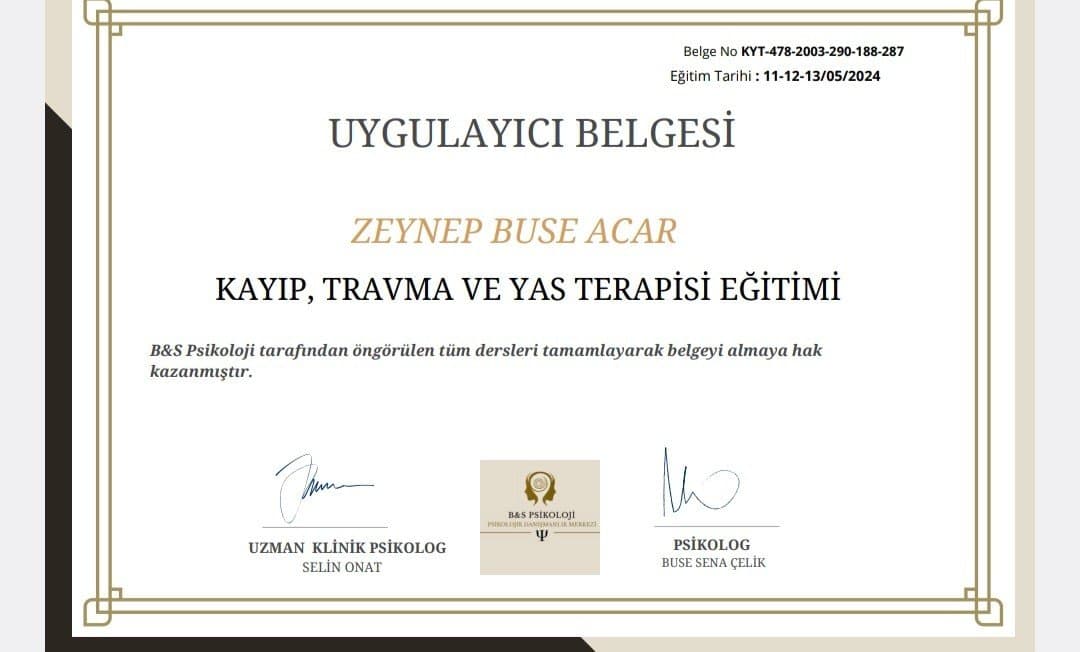 Zeynep A. — çalışma 3