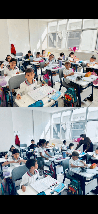 Zeynep C. — çalışma 3