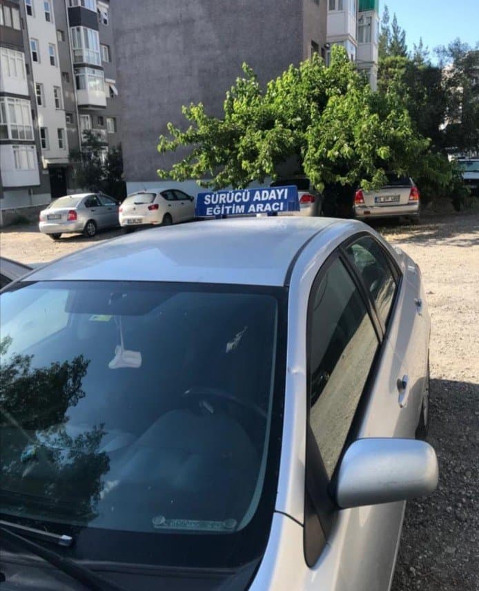 Zeynep S. — çalışma 1