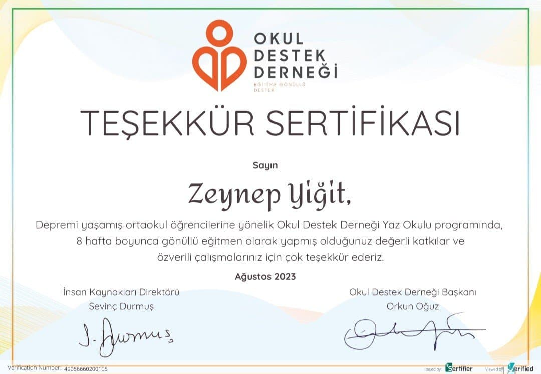 Zeynep Y. — çalışma 1