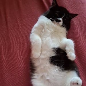 Aleyna N. profil fotoğrafı