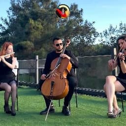Anıl T. profil fotoğrafı