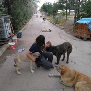 Ayça B. profil fotoğrafı