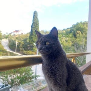 Ayça O. profil fotoğrafı
