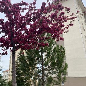 Aysu Ü. profil fotoğrafı