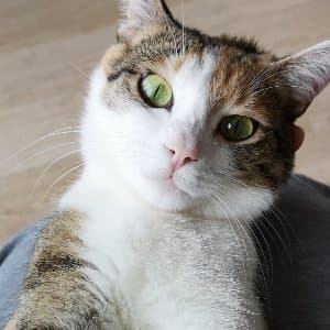 Ayten K. profil fotoğrafı