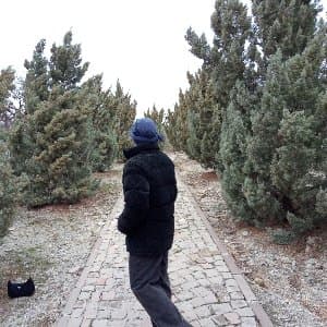 Azra D. profil fotoğrafı