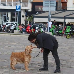 Barış B. profil fotoğrafı