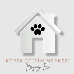 Beyaz M. profil fotoğrafı