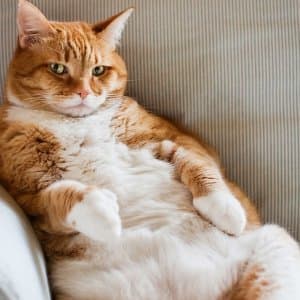 Burçin D. profil fotoğrafı