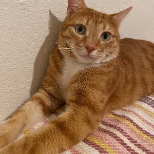 Burçin E. profil fotoğrafı