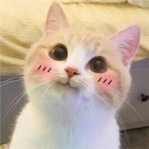Büşra S. profil fotoğrafı