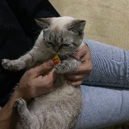 Cemil Ş. profil fotoğrafı
