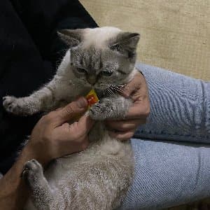 Cemil Ş. profil fotoğrafı