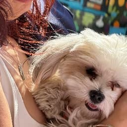 Damla O. profil fotoğrafı