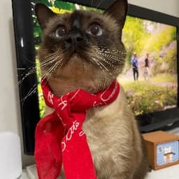 Damla T. profil fotoğrafı