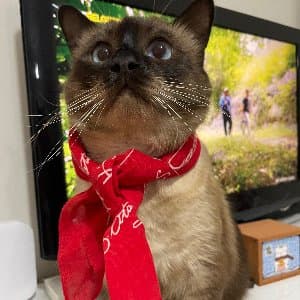 Damla T. profil fotoğrafı