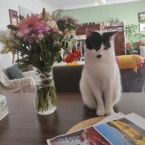 Deniz E. profil fotoğrafı