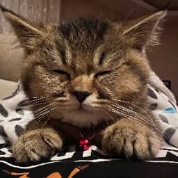 Ebru Ü. profil fotoğrafı
