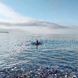 Ebru Y. profil fotoğrafı