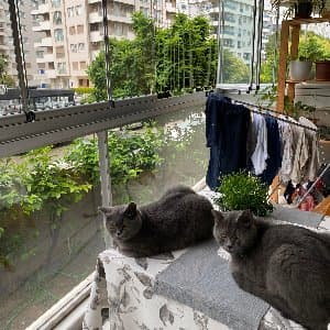 Ece İ. profil fotoğrafı