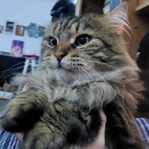 Ecem H. profil fotoğrafı