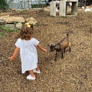 Elif B. profil fotoğrafı