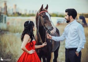 En P. profil fotoğrafı