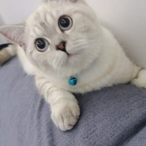 Esra G. profil fotoğrafı