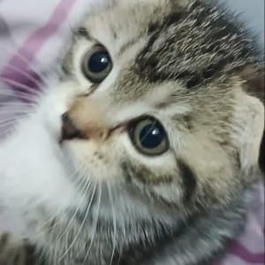 Fatma G. profil fotoğrafı