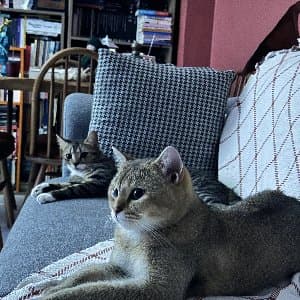 Figen Y. profil fotoğrafı