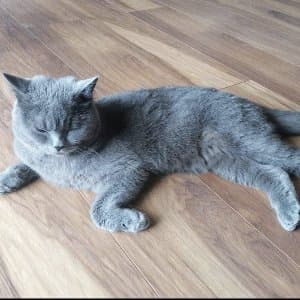Seycan M. profil fotoğrafı