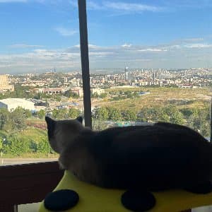 Gülçin O. profil fotoğrafı