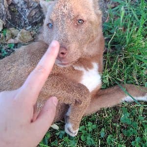 Gülsu B. profil fotoğrafı
